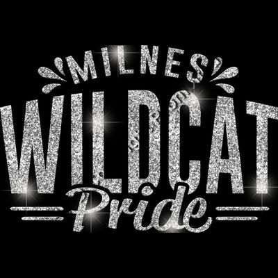 GLT62 SILVER GLITTER Thumbnail